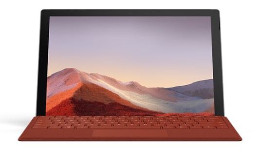 平房清洁和维护 Surface